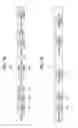 Fig. 08 - Method for in-band full-duplex transmission and reception, and apparatus for the same