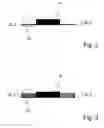 Fig. 03 - Method for selecting frequency channels