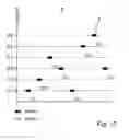 Fig. 12 - Method for selecting frequency channels