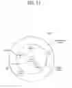 Fig. 13 - Wireless power transmission apparatus and method therefor
