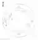 Fig. 06 - Ocular imaging with illumination in image path