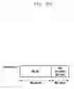 Fig. 119 - Structure of MAC sub-header for supporting text generation mobile communication system and method and apparatus using the same