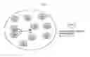 Fig. 03 - Electronic device and method in mobile base station