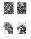Fig. 04 - Method for manufacturing a flexible circuit board incorporating sunken resistor