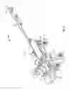 Fig. 09 - Lateral transport system for harvester