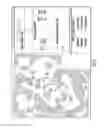 Fig. 06 - System and method for switching between seed types during a multi-variety seed planting operation