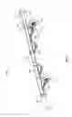Fig. 04 - Draper header for harvester providing floatation to gauge wheels