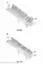 Fig. 04 - CONVEYOR CHAIN SLAT WITH BRUSH ASSEMBLY