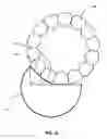 Fig. 08 - Combine harvester concave bar and separator grate