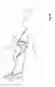 Fig. 10 - Rigging and method for rescuing an animal stuck in the water