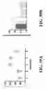Fig. 46 - Platelet Additive Solution Having a Beta-Galactosidase Inhibitor