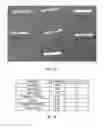 Fig. 02 - COMPOSITIONS AND METHODS FOR AVOIDING, REDUCING, AND REVERSING UNDESIRABLE VISUAL AND OLFACTORY EFFECTS IN FOOD PRODUCTS