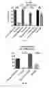 Fig. 07 - WATER AND FAT SOLUBLE MICRONUTIENT STABILIZED PARTICLES