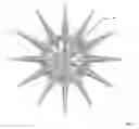 Fig. 03 - Brush for cosmetic products