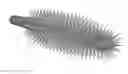 Fig. 04 - Brush for cosmetic products