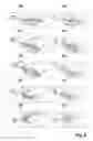 Fig. 05 - Oral care implement