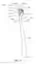 Fig. 12 - Oral care implement