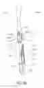 Fig. 47 - Oral care implement