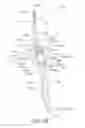 Fig. 48 - Oral care implement