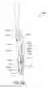 Fig. 57 - Oral care implement