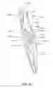 Fig. 58 - Oral care implement