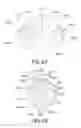 Fig. 64 - Oral care implement