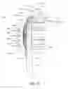 Fig. 70 - Oral care implement