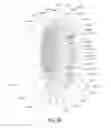 Fig. 76 - Oral care implement