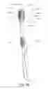 Fig. 83 - Oral care implement