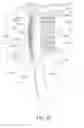 Fig. 86 - Oral care implement