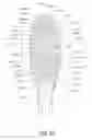 Fig. 89 - Oral care implement