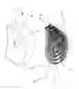 Fig. 01 - HAIR COMB SET STRUCTURE