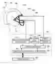 Fig. 01 - Ocular-performance-based head impact measurement using a faceguard