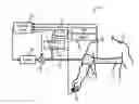 Fig. 01 - Non-invasive system and method for measuring blood pressure variability