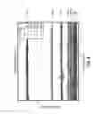 Fig. 09 - APPARATUS, SYSTEMS, AND METHODS FOR TISSUE OXIMETRY AND PERFUSION IMAGING