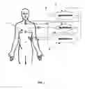 Fig. 02 - Non-invasive method and system to extract characteristic information of bio-tissues