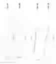 Fig. 07 - Non-invasive method and system to extract characteristic information of bio-tissues
