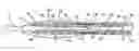 Fig. 01 - Dynamic locking device