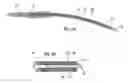 Fig. 06 - Surgical drill with curved burr attachment and method