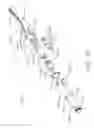 Fig. 22 - Surgical instrument comprising a plurality of drive systems