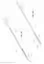 Fig. 02 - Dual access incising catheter