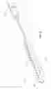 Fig. 08 - Dual access incising catheter