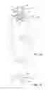 Fig. 05 - Skin care apparatus