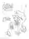 Fig. 03 - Surgical instrument having a flexible electrode