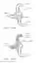 Fig. 22 - Surgical evacuation sensing and generator control