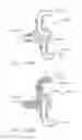 Fig. 22 - Surgical evacuation sensing and display