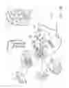 Fig. 24 - SMOKE EVACUATION SYSTEM INCLUDING A SEGMENTED CONTROL CIRCUIT FOR INTERACTIVE SURGICAL PLATFORM