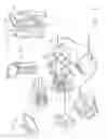Fig. 03 - Image capturing of the areas outside the abdomen to improve placement and control of a surgical device in use
