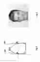 Fig. 05 - Method for determining and drawing the ideal individual shape of the upper front teeth