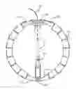 Fig. 01 - Implantable anchoring device and methods of use